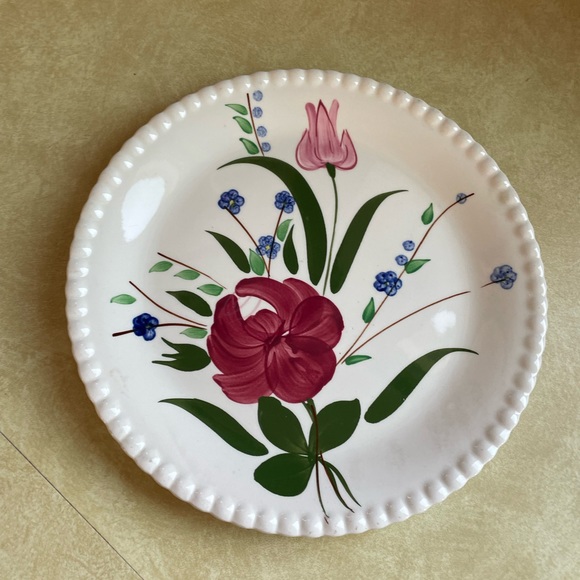 Blue Ridge Southern Pottery Floral 
Hand Painted Dinner Plate 10.25"
RARE - Picture 1 of 5